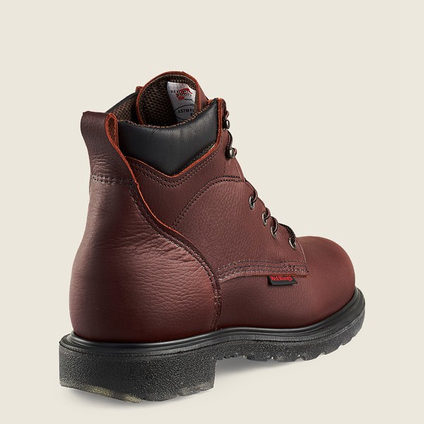 Botas de Trabajo Red Wing Hombre Vino - Supersole® 2.0 - 6-Inch Waterproof Soft Toe - 854-PWLSEV